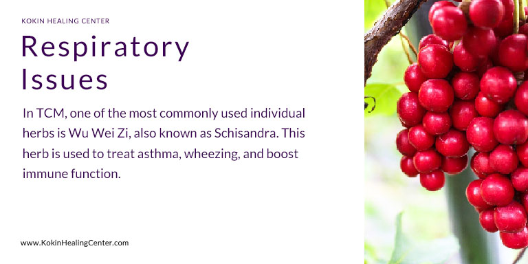 Keeping Our Lungs Healthy in Winter!