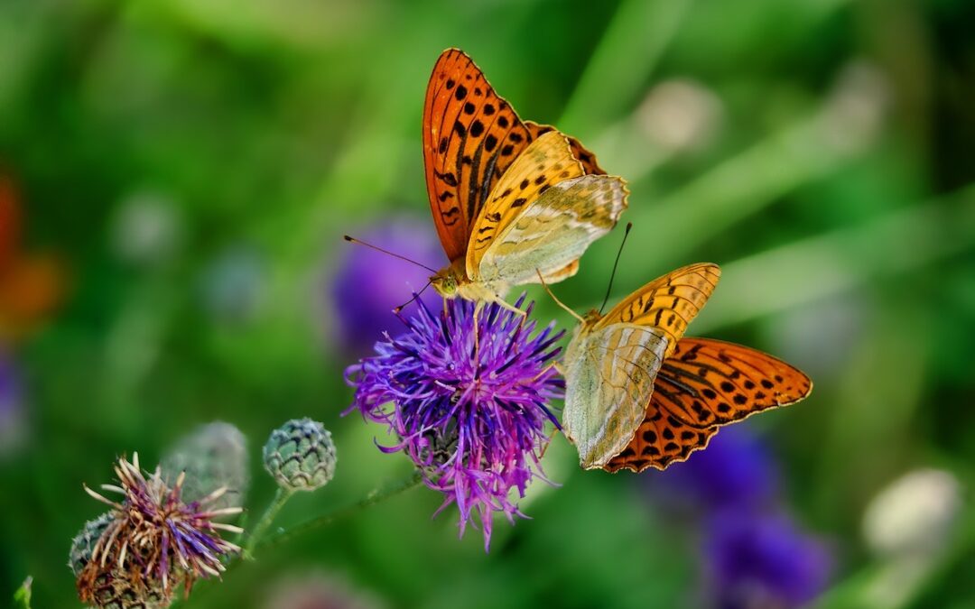 4 Lifestyle Tweaks to Thrive this Spring