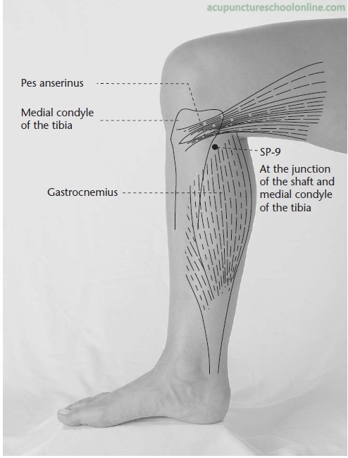 Five Acupuncture Points for Indian Summer