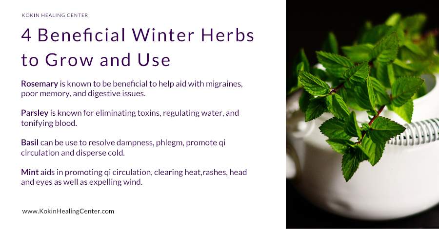 4 Beneficial Winter Herbs to Grow and Use!