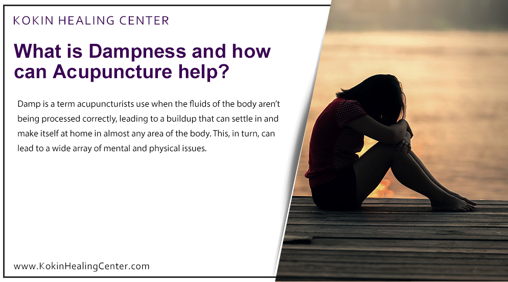 What is Dampness and how can Acupuncture help?