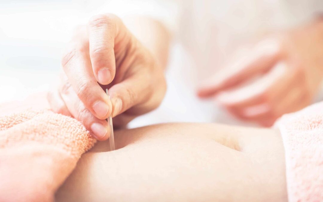 Functions of the Stomach and Spleen in Chinese Medicine!