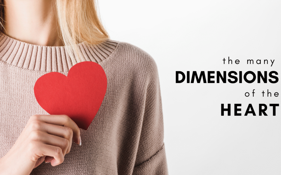 The Many Dimensions of the Heart