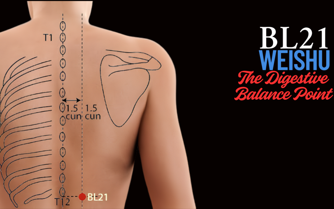 BL21 Weishu – The Stomach’s Back-Body Support Point