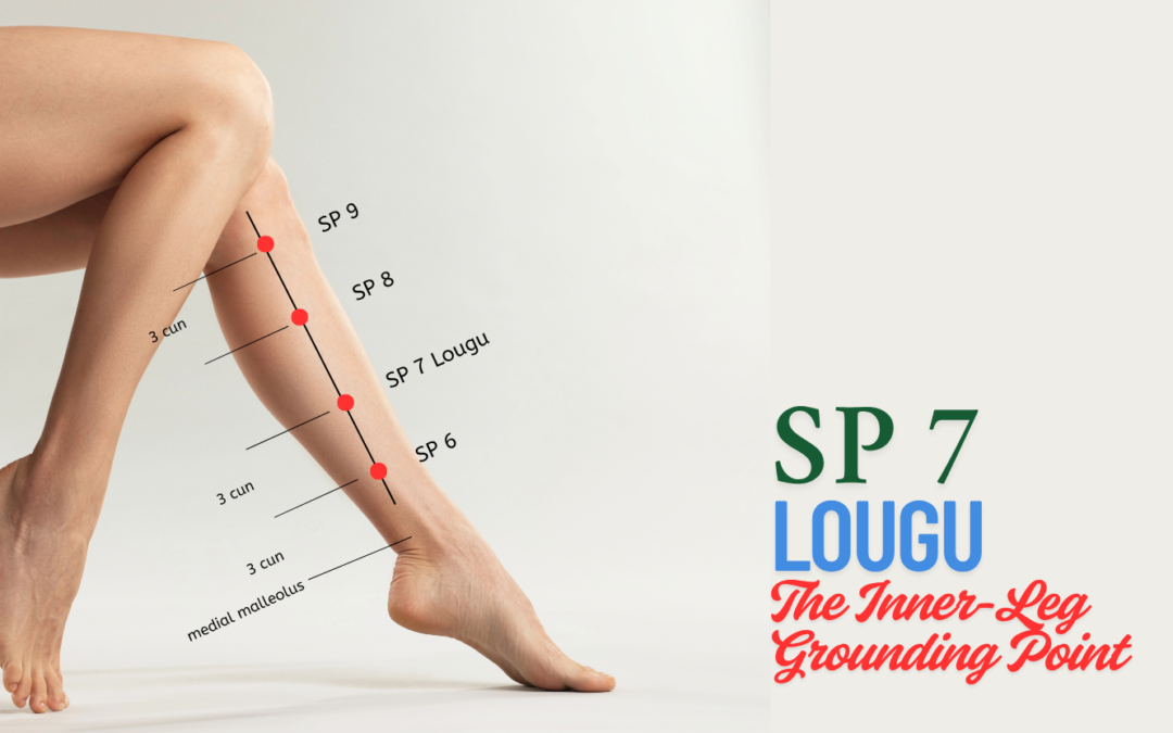SP7 (Lougu) — The Inner-Leg Grounding Point