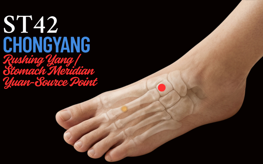 ST42 (Chongyang) — A Gentle Acupressure Practice for the Feet